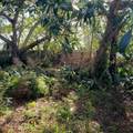  Virginia Avenue - Photo 4