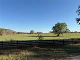  0 CITRUS WAY - Photo 13