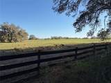  0 CITRUS WAY - Photo 14