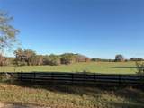  0 CITRUS WAY - Photo 20