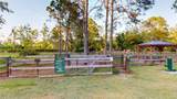 17833 Green Willow Drive - Photo 79