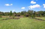 29156 Coral Harbour Drive - Photo 37