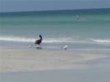 1400 Gulf Boulevard - Photo 41