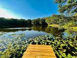 1610 Palm Leaf Drive - Photo 1