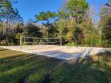 31251 Claridge Place - Photo 53