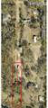 13907 Raulerson Road - Photo 1