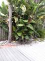 14555 Bayshore Drive - Photo 4