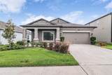 30950 Parrot Reef Court - Photo 39