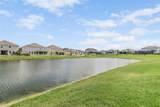 30950 Parrot Reef Court - Photo 47