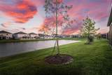 30950 Parrot Reef Court - Photo 8