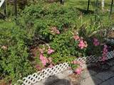 115 Marjorie Avenue - Photo 16