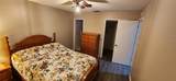 35145 Whispering Oaks Boulevard - Photo 12