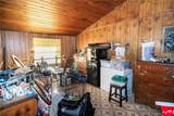 10818 Land O Lakes Boulevard - Photo 14
