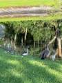13709 Juniper Blossom Drive - Photo 6