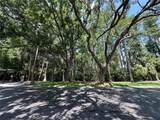 13709 Juniper Blossom Drive - Photo 9
