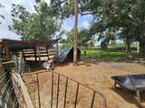 4352 Joy Drive - Photo 31