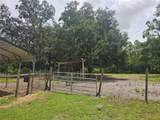 4352 Joy Drive - Photo 40