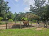 4352 Joy Drive - Photo 43