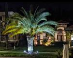 10880 Cory Lake Drive - Photo 52