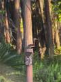 820 Newberger Road - Photo 29