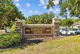 5131 Gato Del Sol Circle - Photo 51