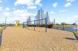11830 Autumn Creek Drive - Photo 57