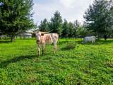  Powerline Road - Photo 10
