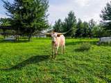  Powerline Road - Photo 8