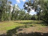 00 Castlewood Road - Photo 3
