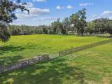 1517 Uncle Buds Lane - Photo 39