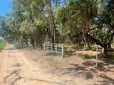 2 Sendcastle Drive - Photo 10