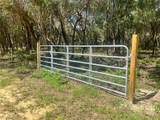 2 Sendcastle Drive - Photo 23