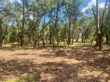 2 Sendcastle Drive - Photo 29