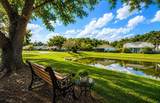 11805 Loblolly Pine Drive - Photo 2