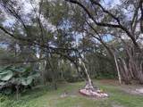  Lucilles Shady Lane - Photo 11