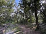  Lucilles Shady Lane - Photo 14