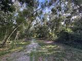  Lucilles Shady Lane - Photo 15
