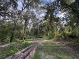  Lucilles Shady Lane - Photo 16