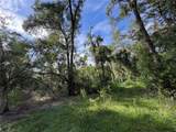 Lucilles Shady Lane - Photo 19