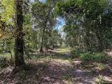  Lucilles Shady Lane - Photo 20