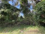  Lucilles Shady Lane - Photo 22
