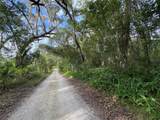  Lucilles Shady Lane - Photo 25