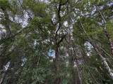  Lucilles Shady Lane - Photo 26