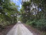  Lucilles Shady Lane - Photo 27