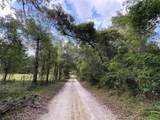  Lucilles Shady Lane - Photo 28