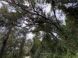  Lucilles Shady Lane - Photo 29