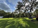  Lucilles Shady Lane - Photo 3