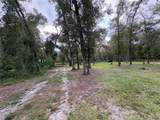  Lucilles Shady Lane - Photo 31