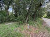  Lucilles Shady Lane - Photo 32