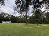  Lucilles Shady Lane - Photo 37